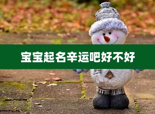 宝宝起名辛运吧好不好