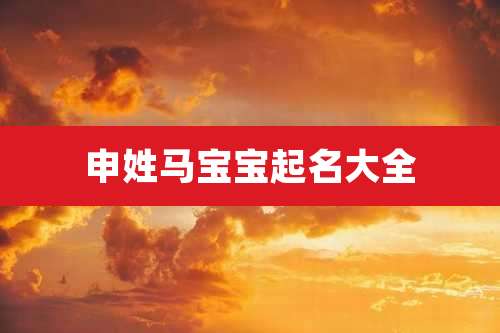 申姓马宝宝起名大全