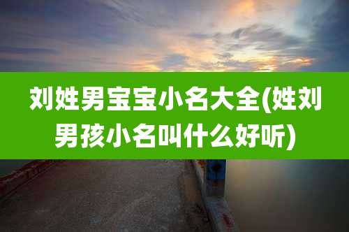 刘姓男宝宝小名大全(姓刘男孩小名叫什么好听)