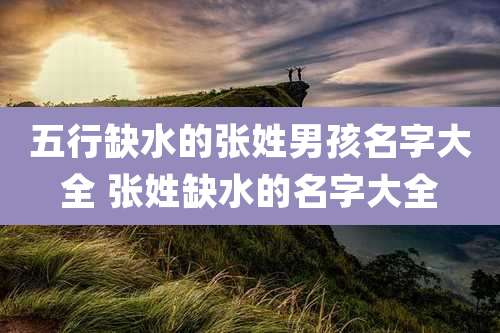 五行缺水的张姓男孩名字大全 张姓缺水的名字大全