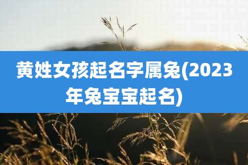 黄姓女孩起名字属兔(2023年兔宝宝起名)