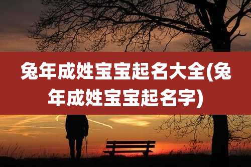 兔年成姓宝宝起名大全(兔年成姓宝宝起名字)