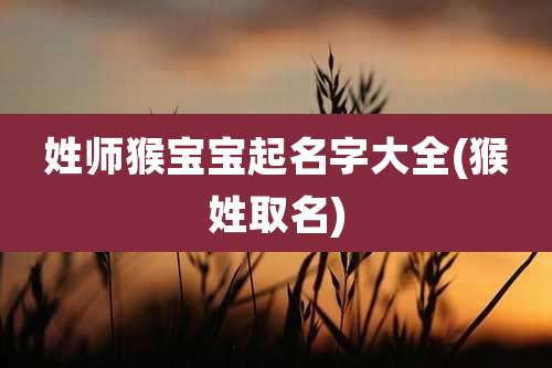 姓师猴宝宝起名字大全(猴姓取名)