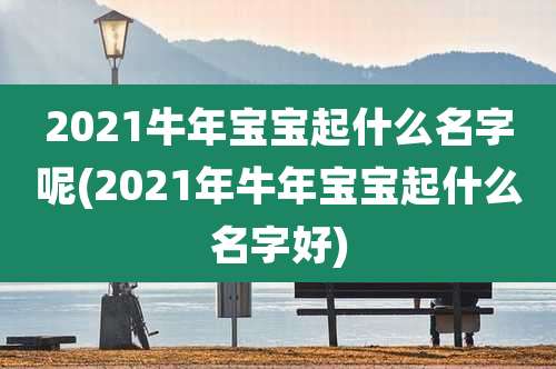 2021牛年宝宝起什么名字呢(2021年牛年宝宝起什么名字好)