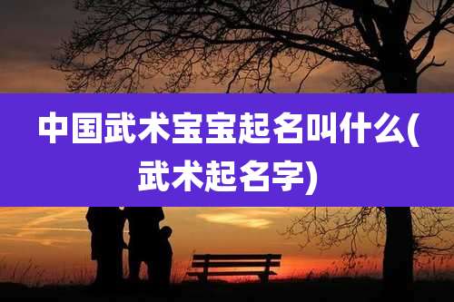 中国武术宝宝起名叫什么(武术起名字)