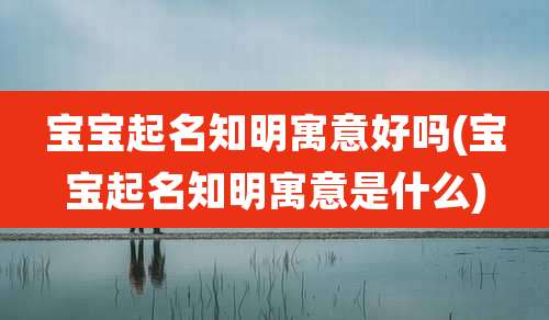 宝宝起名知明寓意好吗(宝宝起名知明寓意是什么)