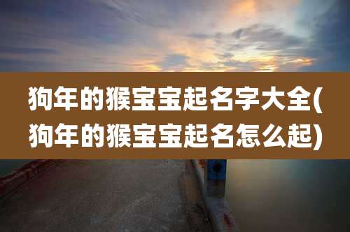 狗年的猴宝宝起名字大全(狗年的猴宝宝起名怎么起)