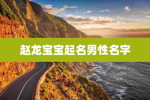 赵龙宝宝起名男性名字