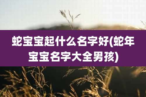 蛇宝宝起什么名字好(蛇年宝宝名字大全男孩)