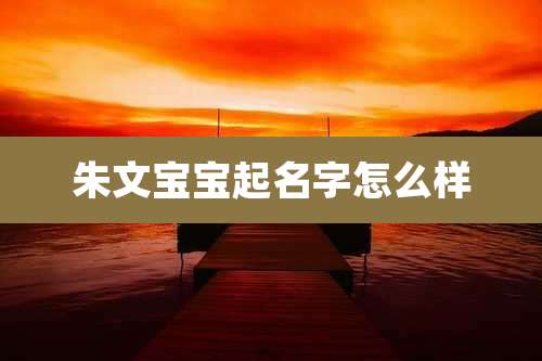 朱文宝宝起名字怎么样