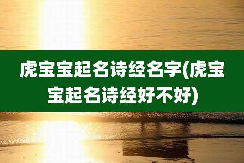 虎宝宝起名诗经名字(虎宝宝起名诗经好不好)