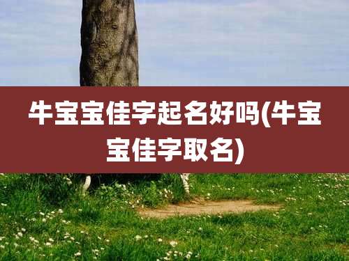 牛宝宝佳字起名好吗(牛宝宝佳字取名)