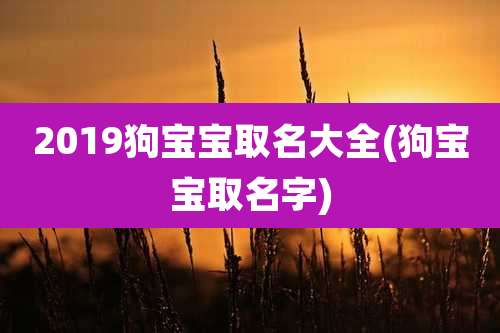 2019狗宝宝取名大全(狗宝宝取名字)