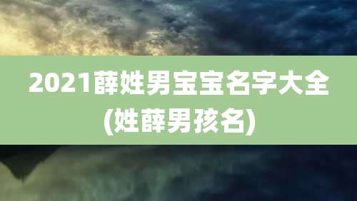 2021薛姓男宝宝名字大全(姓薛男孩名)