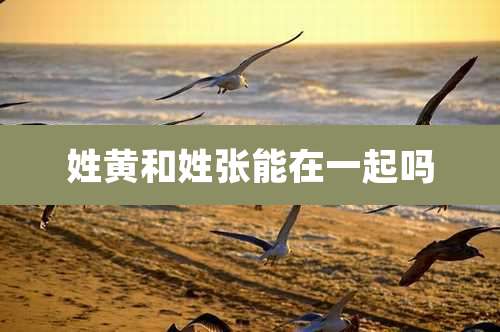 姓黄和姓张能在一起吗