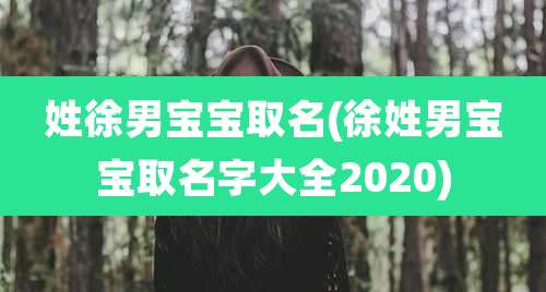 姓徐男宝宝取名(徐姓男宝宝取名字大全2020)