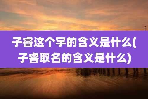 子睿这个字的含义是什么(子睿取名的含义是什么)