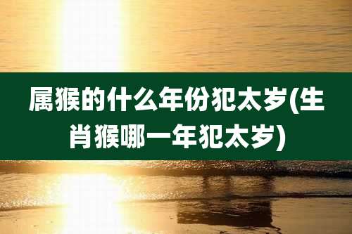 属猴的什么年份犯太岁(生肖猴哪一年犯太岁)