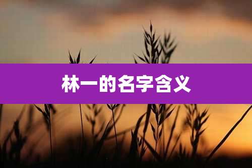 林一的名字含义