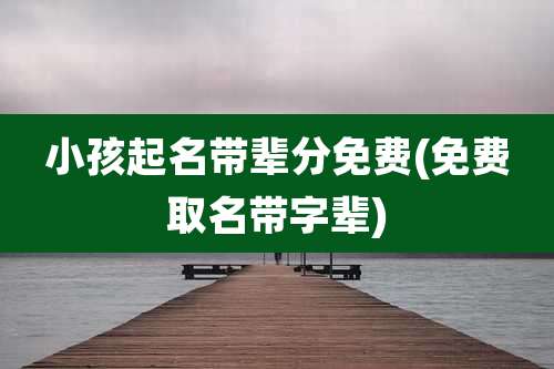 小孩起名带辈分免费(免费取名带字辈)