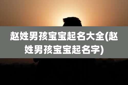 赵姓男孩宝宝起名大全(赵姓男孩宝宝起名字)