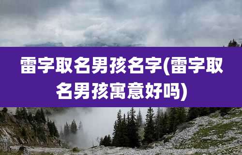 雷字取名男孩名字(雷字取名男孩寓意好吗)