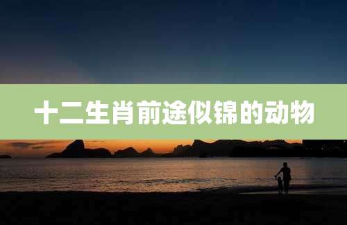 十二生肖前途似锦的动物