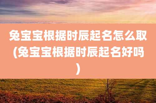 兔宝宝根据时辰起名怎么取(兔宝宝根据时辰起名好吗)