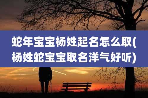 蛇年宝宝杨姓起名怎么取(杨姓蛇宝宝取名洋气好听)