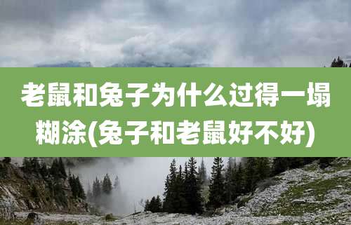 老鼠和兔子为什么过得一塌糊涂(兔子和老鼠好不好)