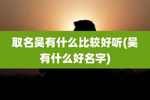 取名吴有什么比较好听(吴有什么好名字)