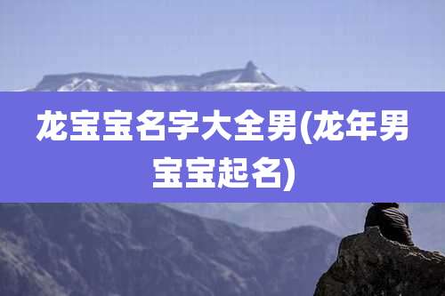 龙宝宝名字大全男(龙年男宝宝起名)