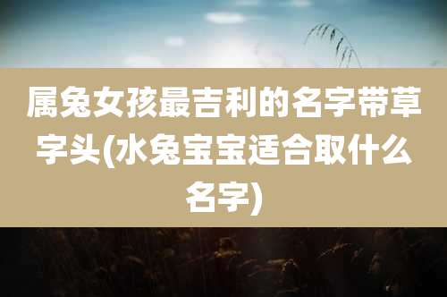 属兔女孩最吉利的名字带草字头(水兔宝宝适合取什么名字)