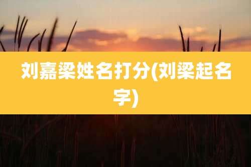 刘嘉梁姓名打分(刘梁起名字)