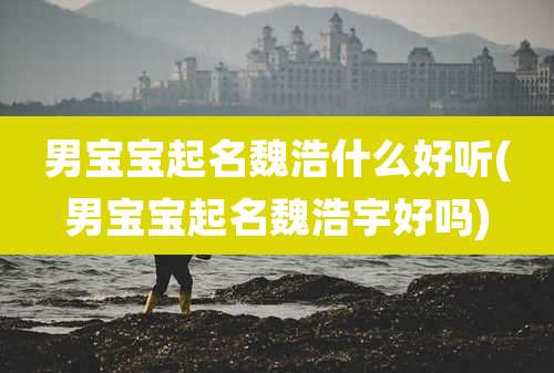 男宝宝起名魏浩什么好听(男宝宝起名魏浩宇好吗)