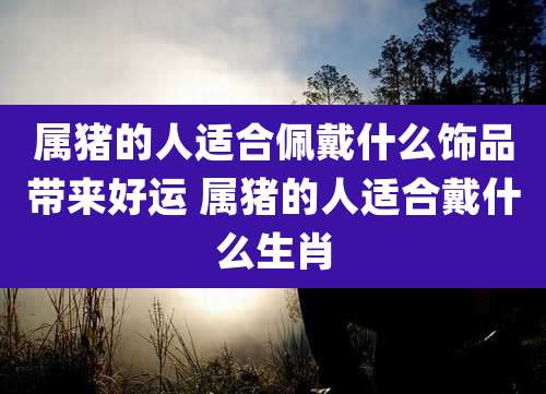 属猪的人适合佩戴什么饰品带来好运 属猪的人适合戴什么生肖