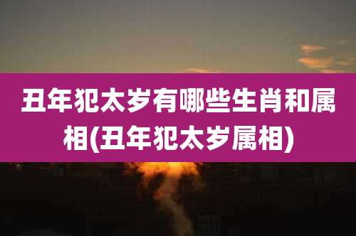 丑年犯太岁有哪些生肖和属相(丑年犯太岁属相)