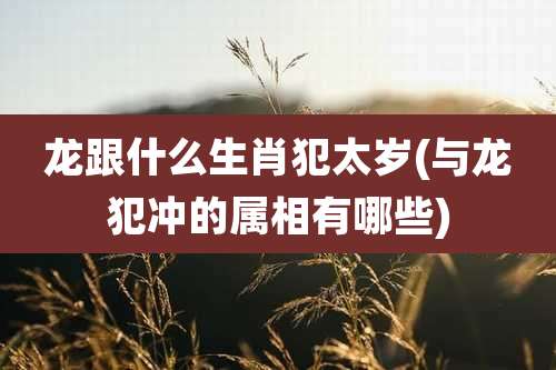 龙跟什么生肖犯太岁(与龙犯冲的属相有哪些)