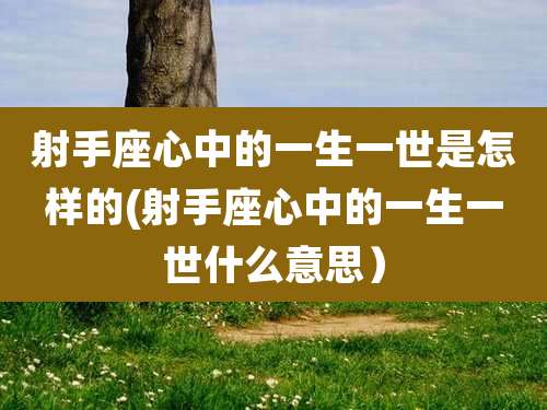 射手座心中的一生一世是怎样的(射手座心中的一生一世什么意思)
