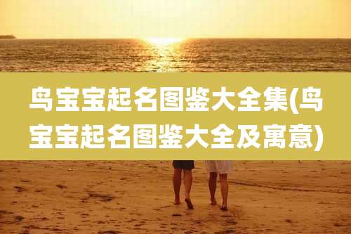 鸟宝宝起名图鉴大全集(鸟宝宝起名图鉴大全及寓意)