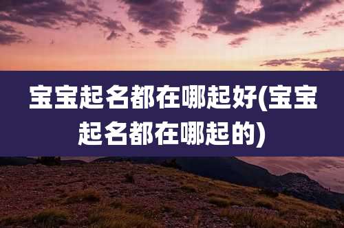 宝宝起名都在哪起好(宝宝起名都在哪起的)