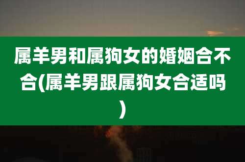 属羊男和属狗女的婚姻合不合(属羊男跟属狗女合适吗)