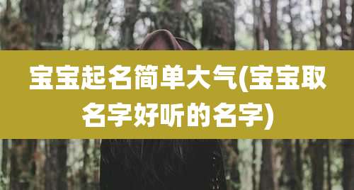 宝宝起名简单大气(宝宝取名字好听的名字)