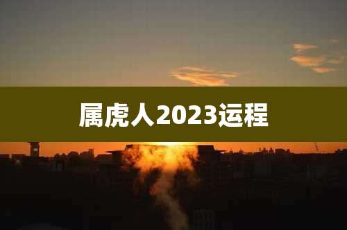 属虎人2023运程