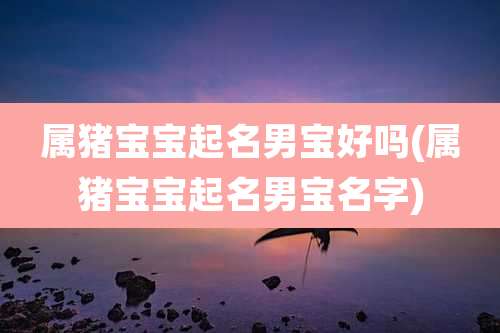 属猪宝宝起名男宝好吗(属猪宝宝起名男宝名字)