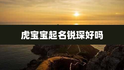 虎宝宝起名锐琛好吗