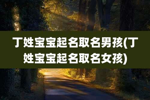 丁姓宝宝起名取名男孩(丁姓宝宝起名取名女孩)