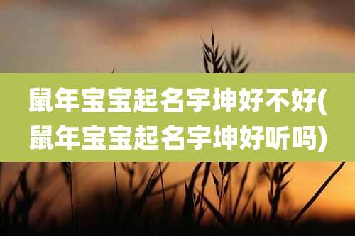 鼠年宝宝起名宇坤好不好(鼠年宝宝起名宇坤好听吗)