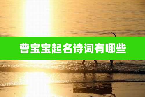 曹宝宝起名诗词有哪些