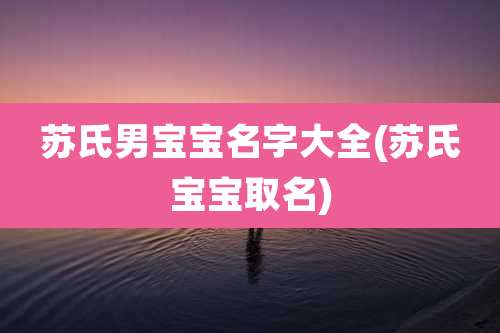苏氏男宝宝名字大全(苏氏宝宝取名)